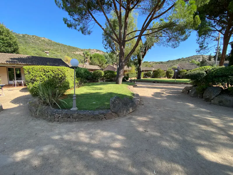 Les allées et la pelouse de la résidence, sous les pins parasols