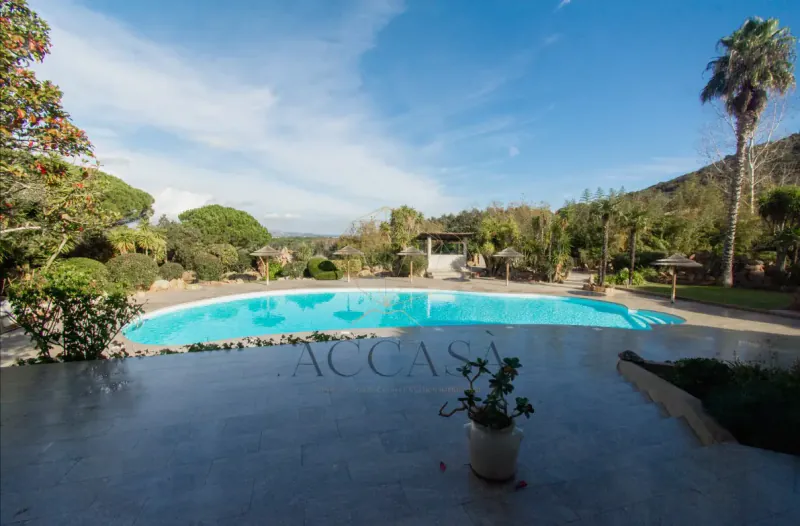 La piscine et sa large terrasse dallée, dans un jardin méditerranéen